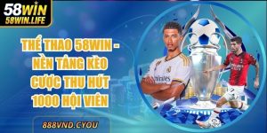 Thể Thao 58win - Nền Tảng Kèo Cược Thu Hút 1000 Hội Viên