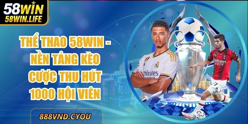 Thể Thao 58win - Nền Tảng Kèo Cược Thu Hút 1000 Hội Viên